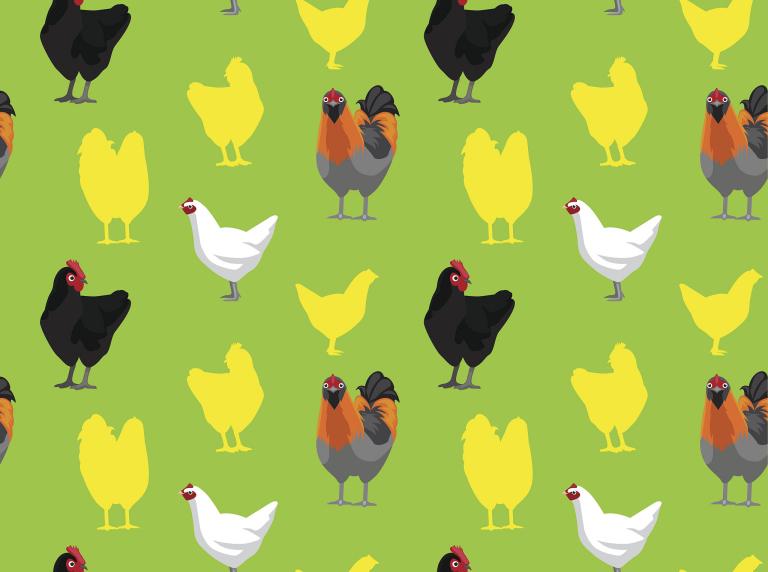 今年属鸡的犯太岁怎么破(解决方法大揭秘)