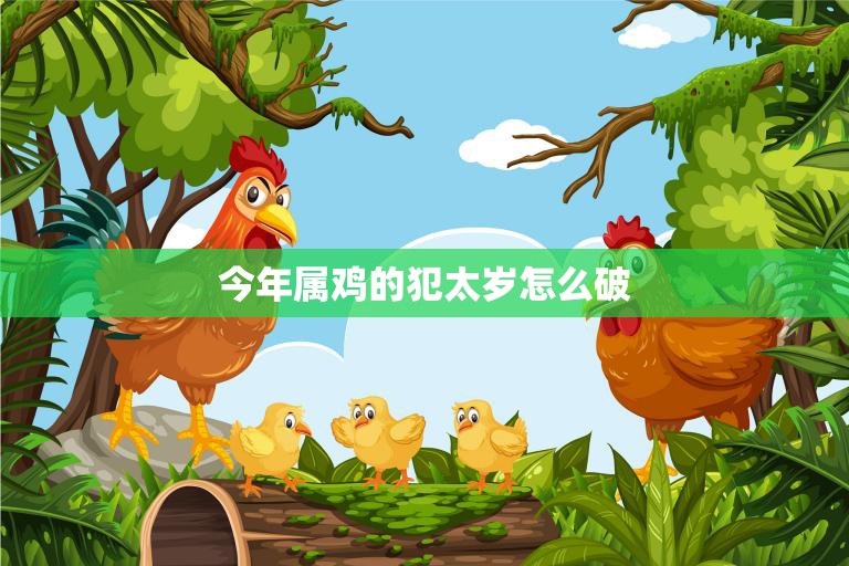 今年属鸡的犯太岁怎么破(解决方法大揭秘)