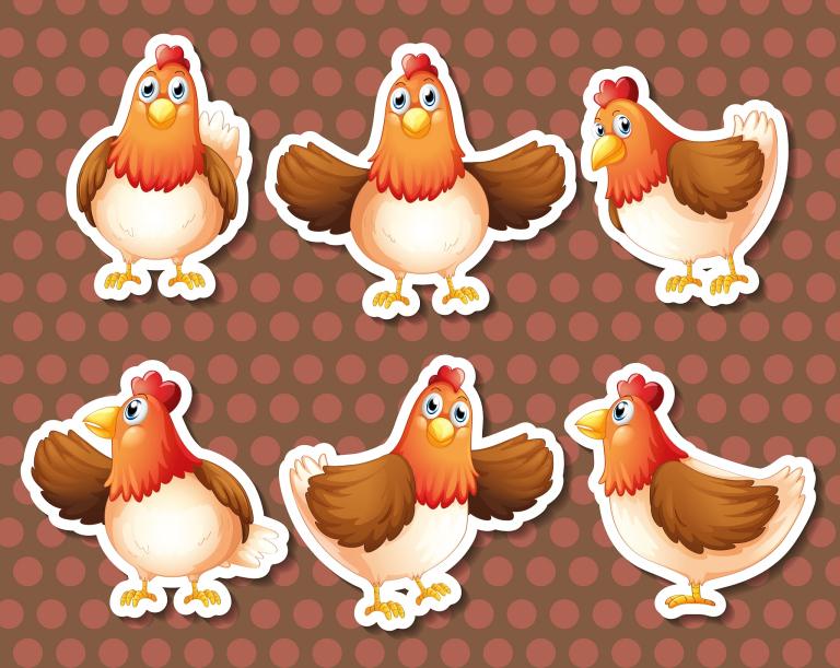 属鸡和什么属相相冲相克(如何避免命运的不利影响)