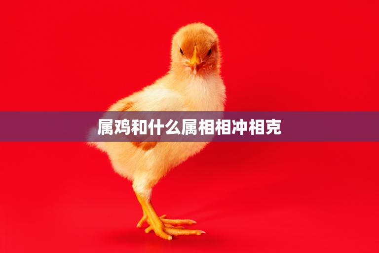 属鸡和什么属相相冲相克(如何避免命运的不利影响)