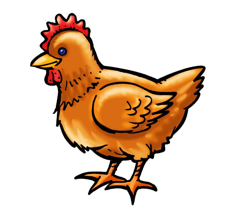 93年鸡今年几月怀男孩(预测结果揭晓孕妇需注意这些)