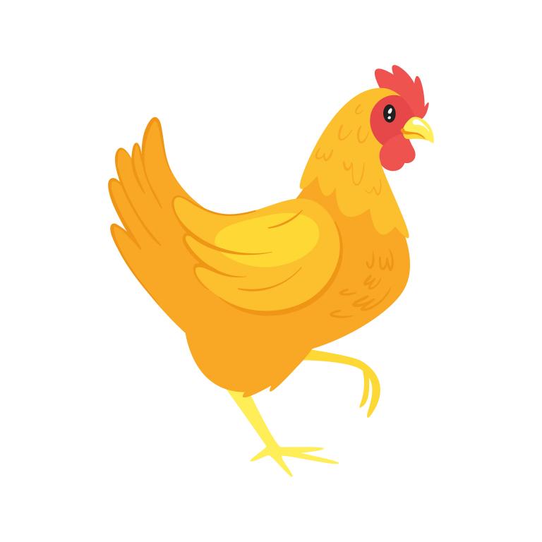 93年鸡今年几月怀男孩(预测结果揭晓孕妇需注意这些)