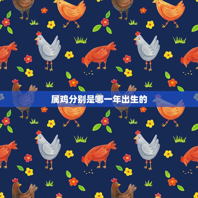 属鸡分别是哪一年出生的(解析十二生肖中的鸡年份)