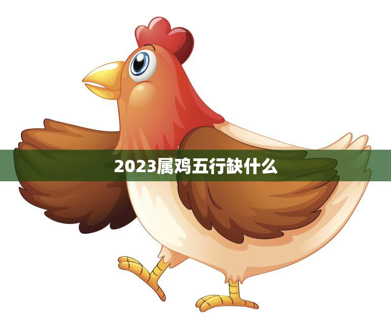 2023属鸡五行缺什么(探究运势如何)