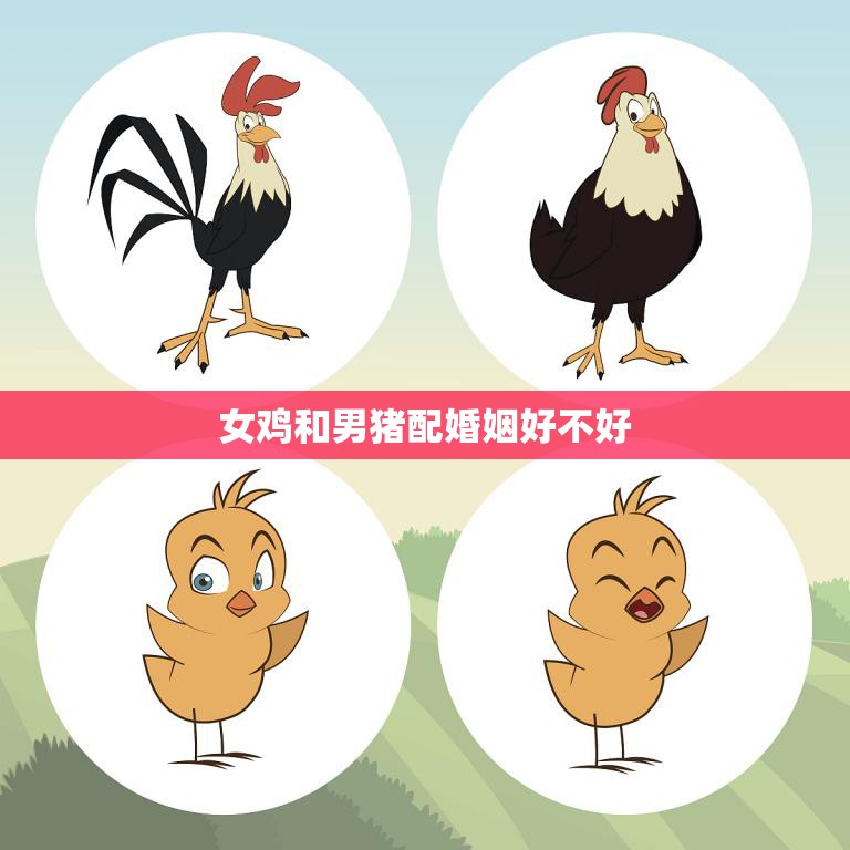女鸡和男猪配婚姻好不好(探讨跨物种婚姻是否可行)