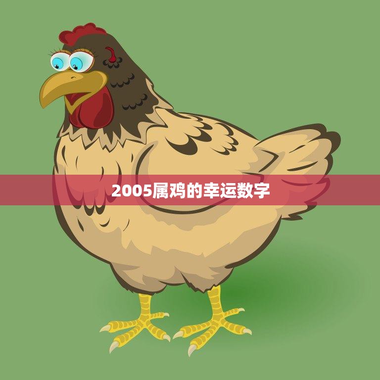 2005属鸡的幸运数字(揭秘为你带来好运的数字是什么)
