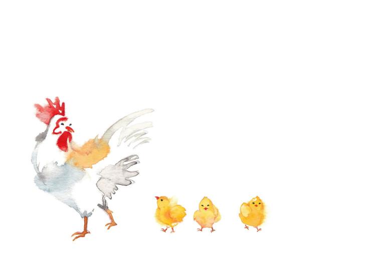 81年的鸡最佳婚配属相(幸福婚姻的秘诀)