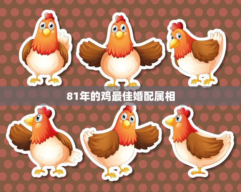 81年的鸡最佳婚配属相(幸福婚姻的秘诀)