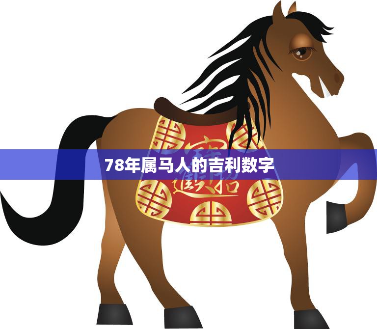 78年属马人的吉利数字(解析幸运数字与命运走势)