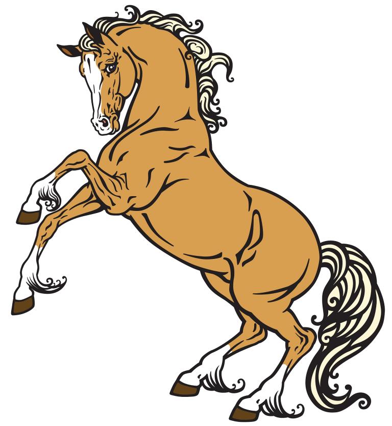 属马1978年是什么马(解析1978年出生的人属于哪个生肖)