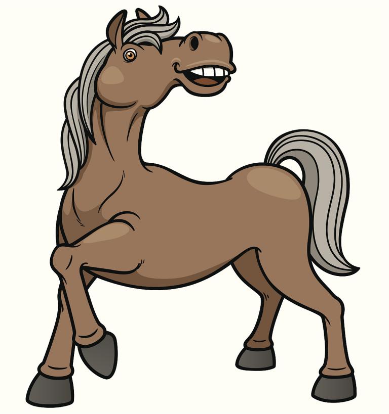 1978年是不是属马的(解密揭秘属相背后的秘密)