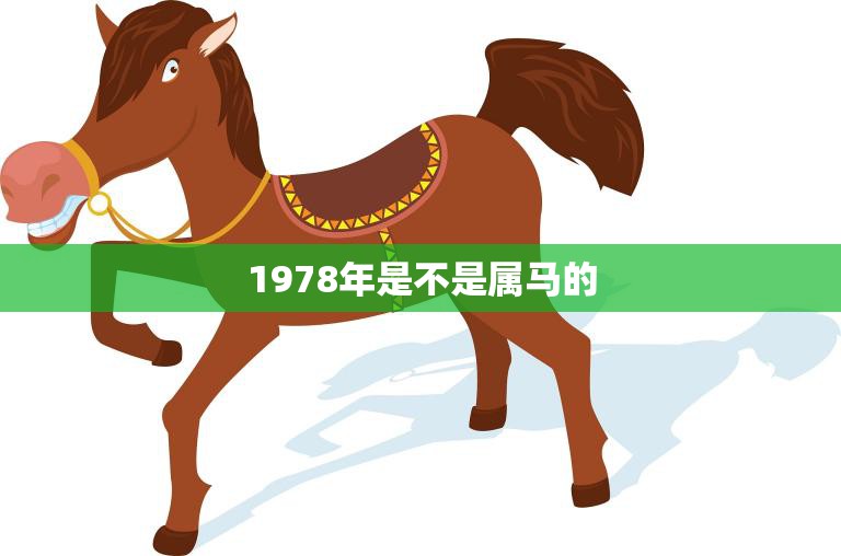 1978年是不是属马的(解密揭秘属相背后的秘密)