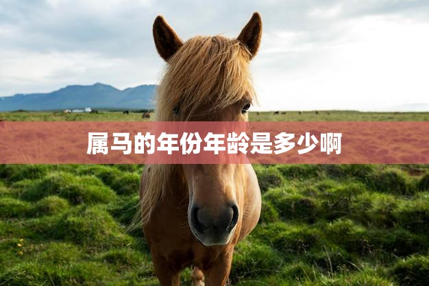 属马的年份年龄是多少啊(马年生肖年龄计算方法)