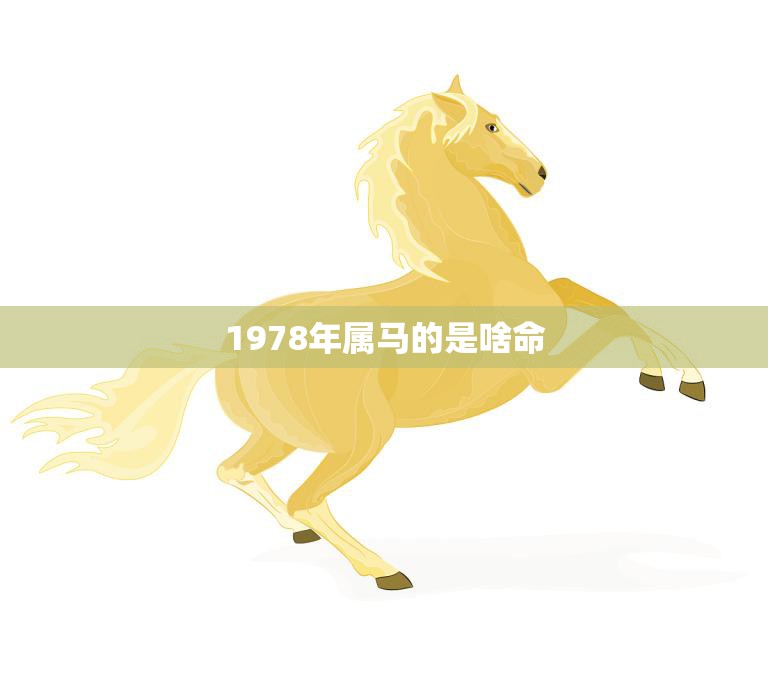 1978年属马的是啥命(马年出生的人命运如何)