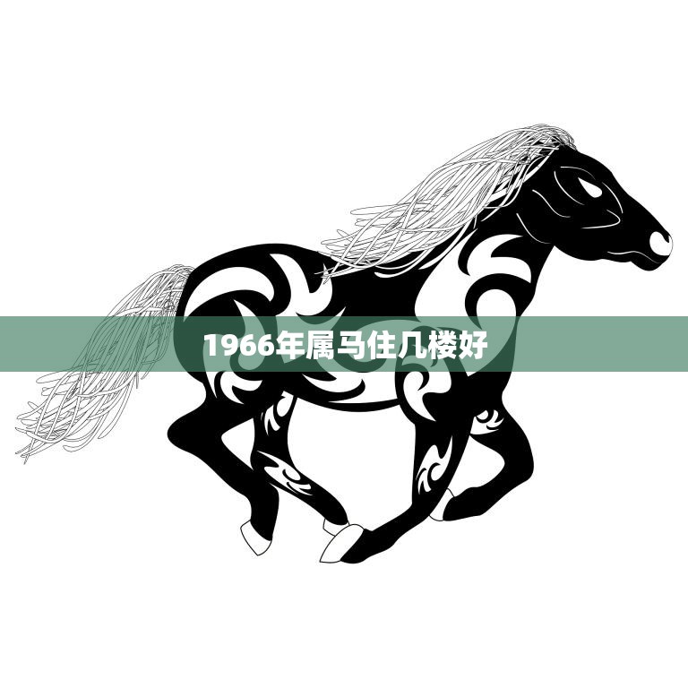 1966年属马住几楼好(如何选择适合自己的居住楼层)