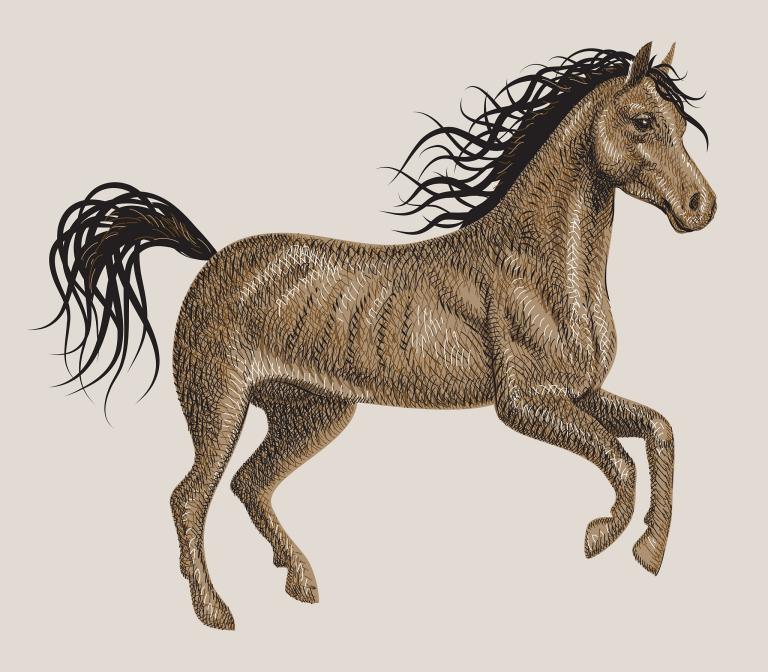 女马2023年运势(事业顺风顺水感情波折多舛)