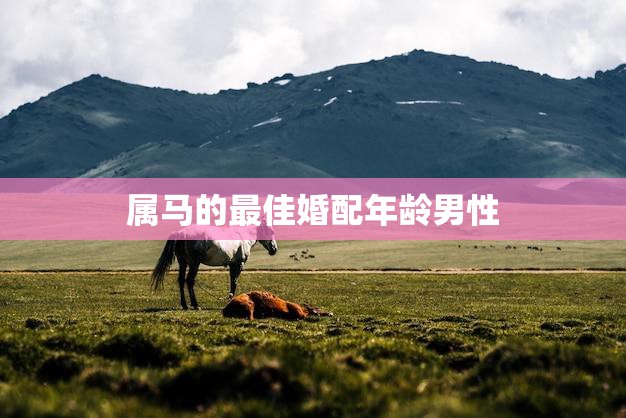 属马的最佳婚配年龄男性(如何选择适合自己的伴侣)