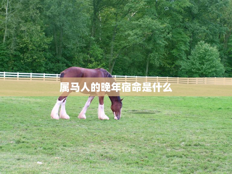 属马人的晚年宿命是什么(探究命运注定还是自己创造)