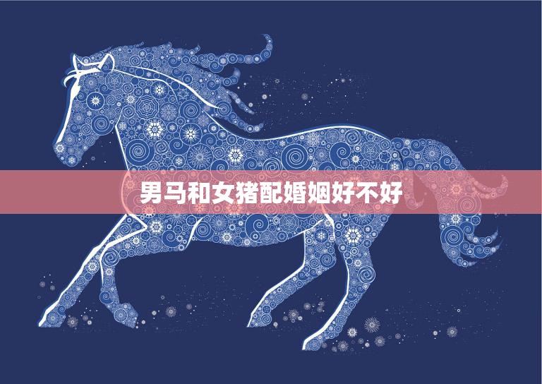 男马和女猪配婚姻好不好(探讨合适还是不可取)