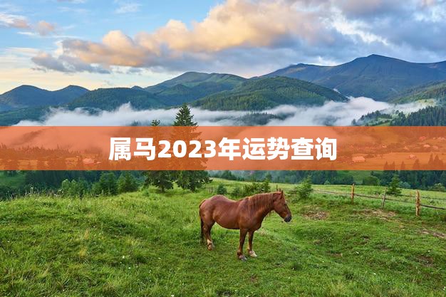属马2023年运势查询(马上好运)