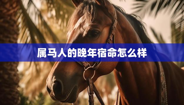 属马人的晚年宿命怎么样(探究命运多舛还是福泽绵长)