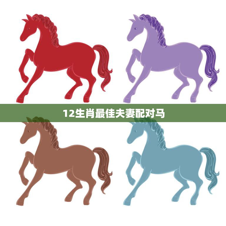 12生肖最佳夫妻配对马(马配哪些生肖最合适)