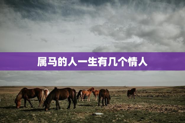 属马的人一生有几个情人(揭秘马儿情场路上多少)