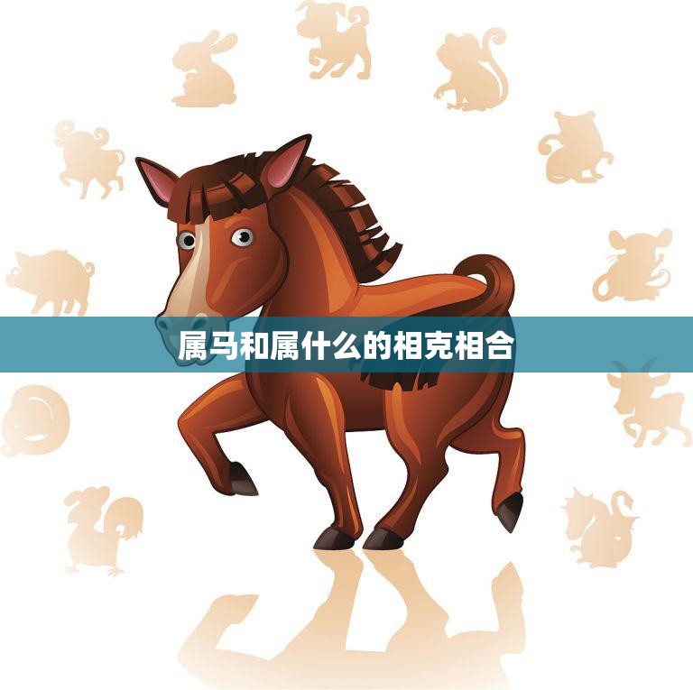属马和属什么的相克相合(十二生肖相生相克大揭秘)