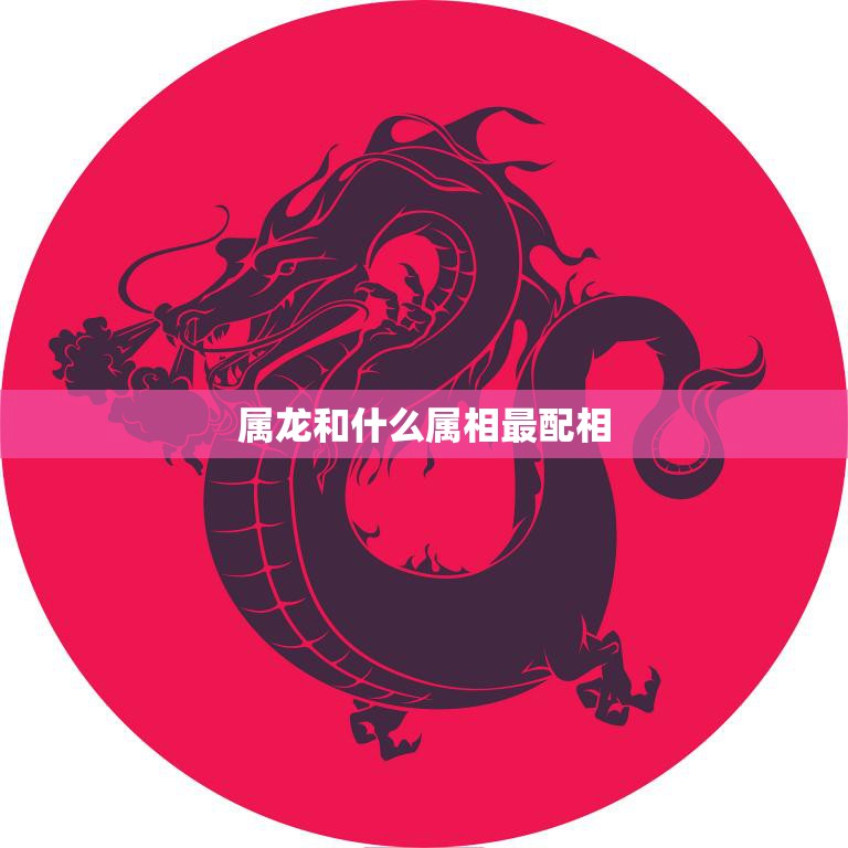 属龙和什么属相最配相(最佳配对大揭秘)