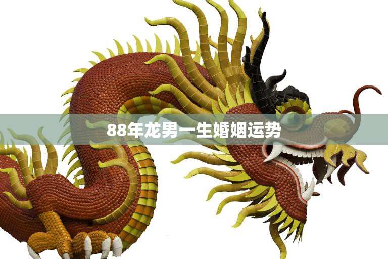 88年龙男一生婚姻运势(如何预测)