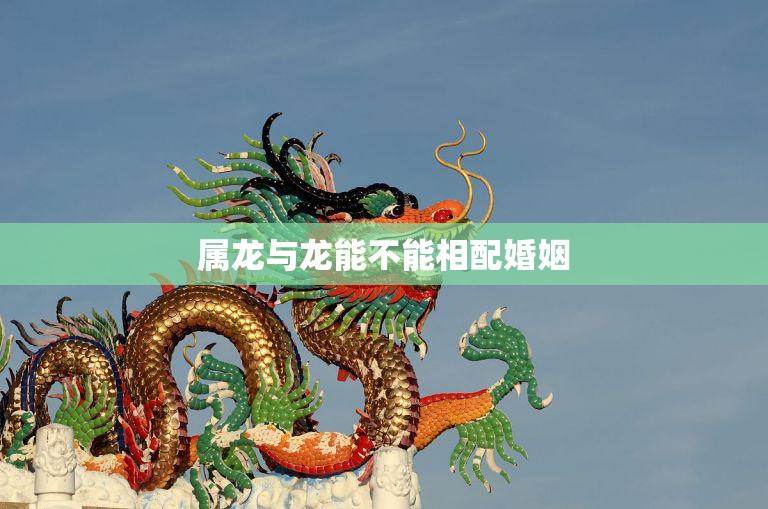 属龙与龙能不能相配婚姻(揭秘龙年结婚的秘密)