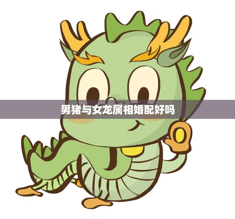 男猪与女龙属相婚配好吗(探讨缘分重要还是属相配对准确)