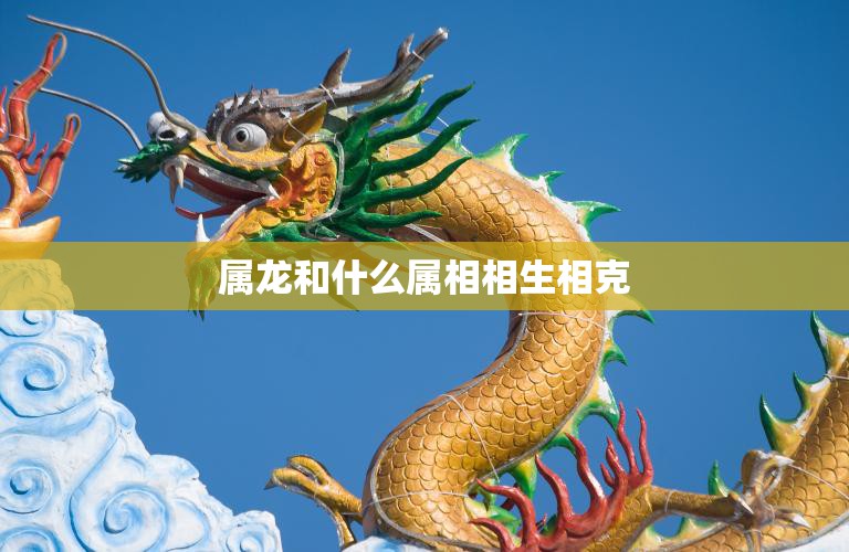 属龙和什么属相相生相克(详解相生相克大揭秘)