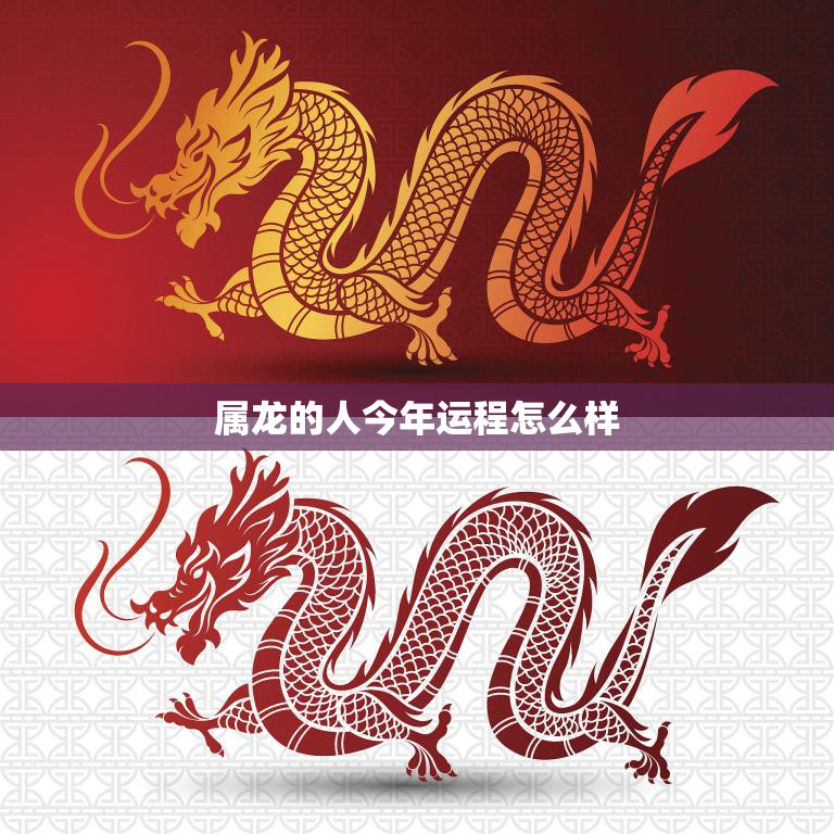 属龙的人今年运程怎么样(2023年属龙人的运势大揭秘)