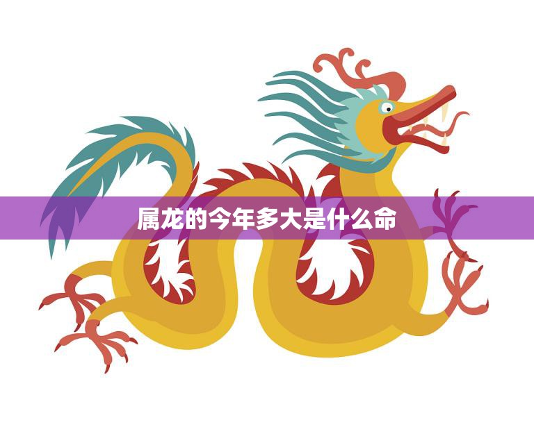 属龙的今年多大是什么命(2023年属龙人的运势如何)