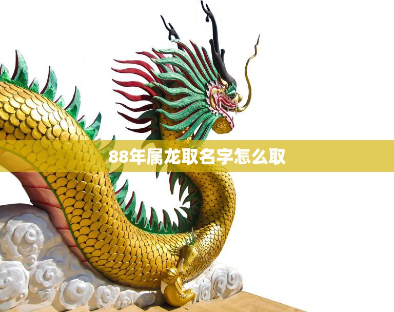 88年属龙取名字怎么取(如何为属龙宝宝取一个好名字)