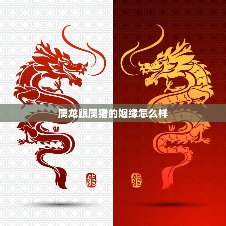 属龙跟属猪的姻缘怎么样(解析命理学上的契合度)