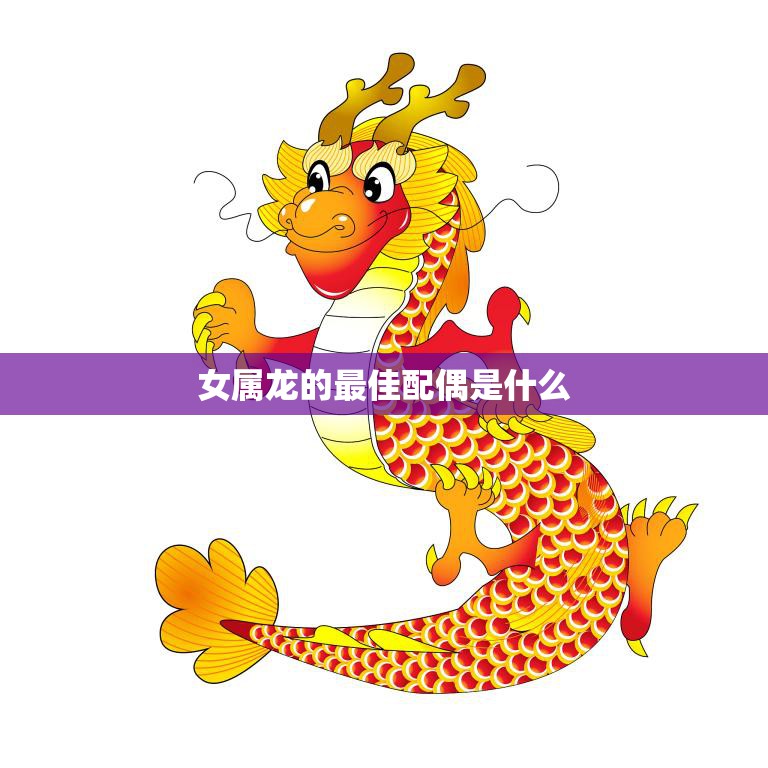 女属龙的最佳配偶是什么(如何选择最适合你的另一半)