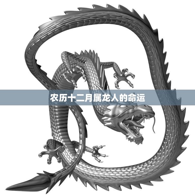 农历十二月属龙人的命运(如何预测)