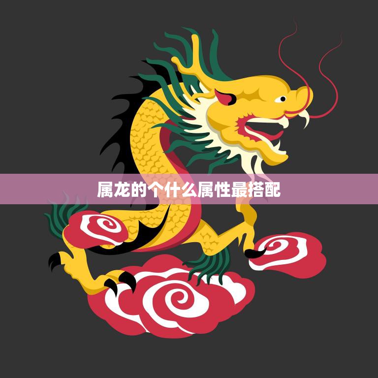 属龙的个什么属性最搭配(探究龙的五行属性与性格特点)
