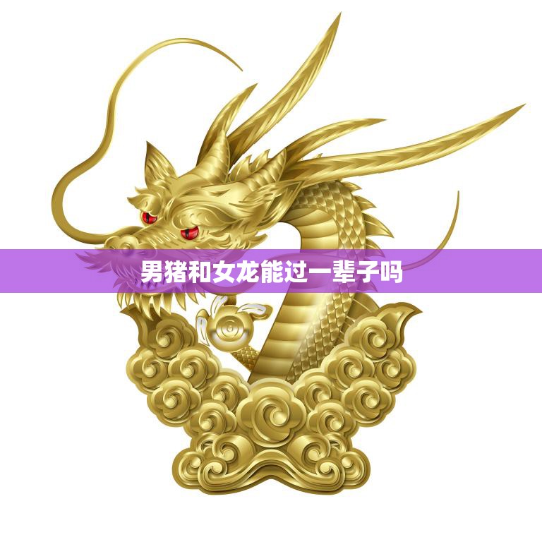 男猪和女龙能过一辈子吗(爱情的真谛何在)