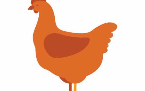 2023年生肖鸡的运势(展翅高飞迎接新挑战)