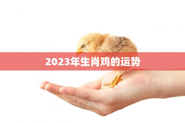 2023年生肖鸡的运势(展翅高飞迎接新挑战)