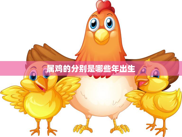 属鸡的分别是哪些年出生(解析十二生肖中的鸡年份)