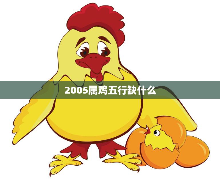 2005属鸡五行缺什么(探究五行缺失对命运的影响)