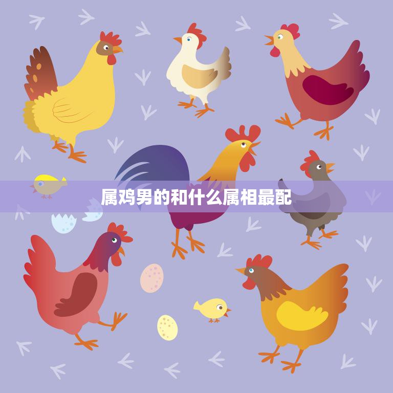 属鸡男的和什么属相最配(十二生肖配对大揭秘)