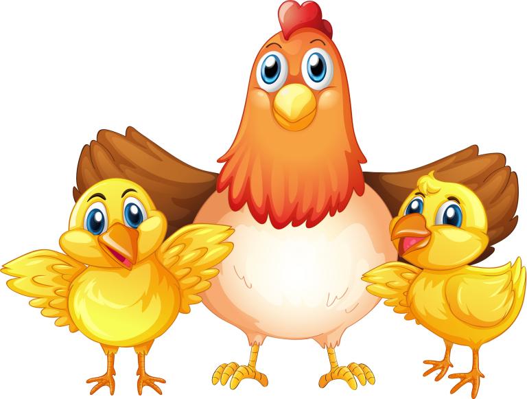 属鸡的今年多大60几岁(如何算出你的真实年龄)