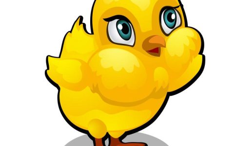 属鸡的今年年龄多大年龄(你知道吗)