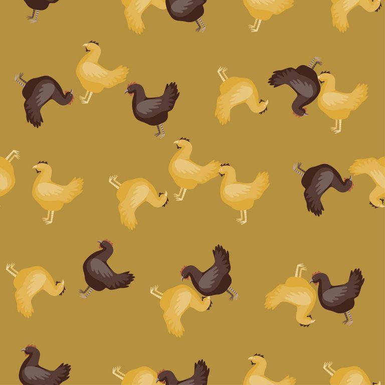 属鸡的与什么属相最配女(揭秘最佳配对星座)