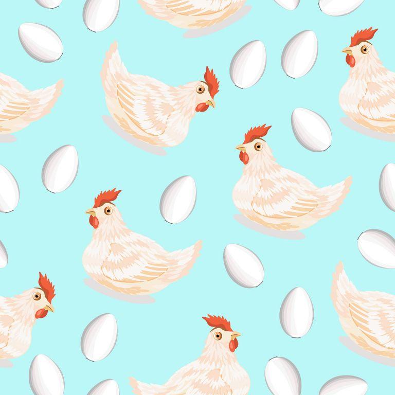 23年属鸡人的全年运势(机遇与挑战并存)